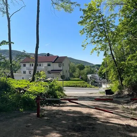 Apartment Fin Sentralt Hybel I *