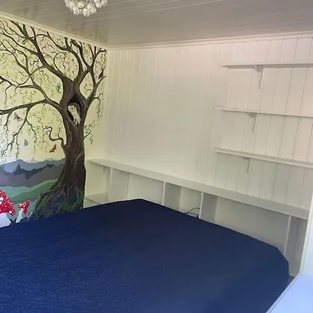 Apartment Fin Sentralt Hybel I *