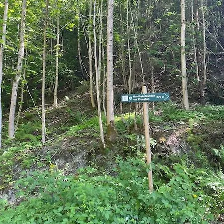 Fin Sentralt Hybel I 아파트 *