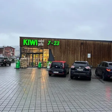 Fin Sentralt Hybel I Apartment Drammen