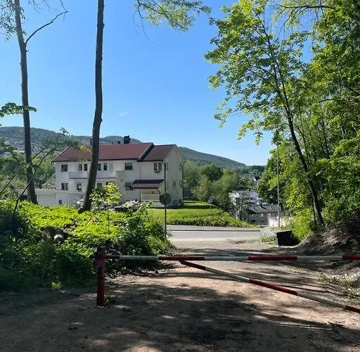 Apartment Fin Sentralt Hybel I *