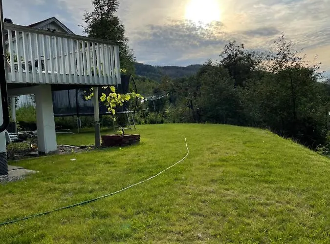 Fin Sentralt Hybel I * Drammen