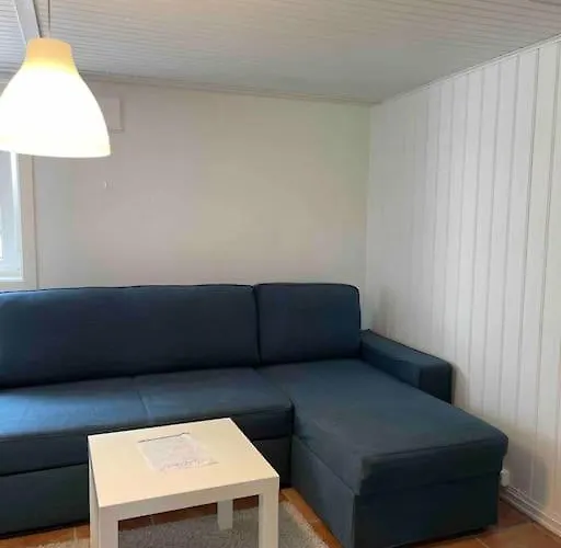 Fin Sentralt Hybel I * Drammen